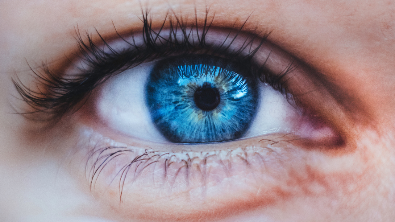 ACE Awards: Recognizing Leaders in the Accessory Industry